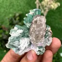 Green Tourmaline Crystals Bunch with Lepidolite and Quartz from Pakistan - image 6