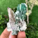 Green Tourmaline Crystals Bunch with Lepidolite and Quartz from Pakistan - image 3