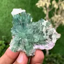 Green Tourmaline Crystals Bunch with Lepidolite and Quartz from Pakistan - image 8
