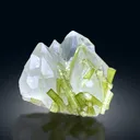 Green Tourmaline Crystals on Quartz from Chapu Mine Skardu Pakistan - 163 gram - image 6