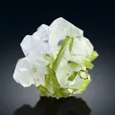 Green Tourmaline Crystals on Quartz from Chapu Mine Skardu Pakistan - 163 gram - image 5
