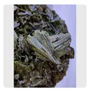 Green Tourmaline Natural Mineral Specimen - image 4