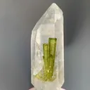 specimen video