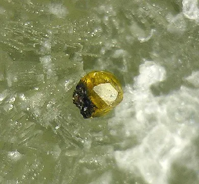 Greenockite, Chalcopyrite, Prehnite - image 2