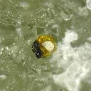 Greenockite, Chalcopyrite, Prehnite - image 2