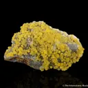 Greenockite included Smithsonite with Sphalerite on Quartz - image 1