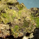 Greenockite, Sphalerite - image 2