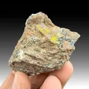 Greenockite with Andradite - image 1