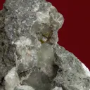 Greenockite with Prehnite (type locality) - image 3