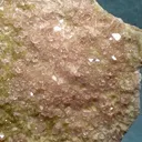 Grossular, Diopside, Pectolite - image 2