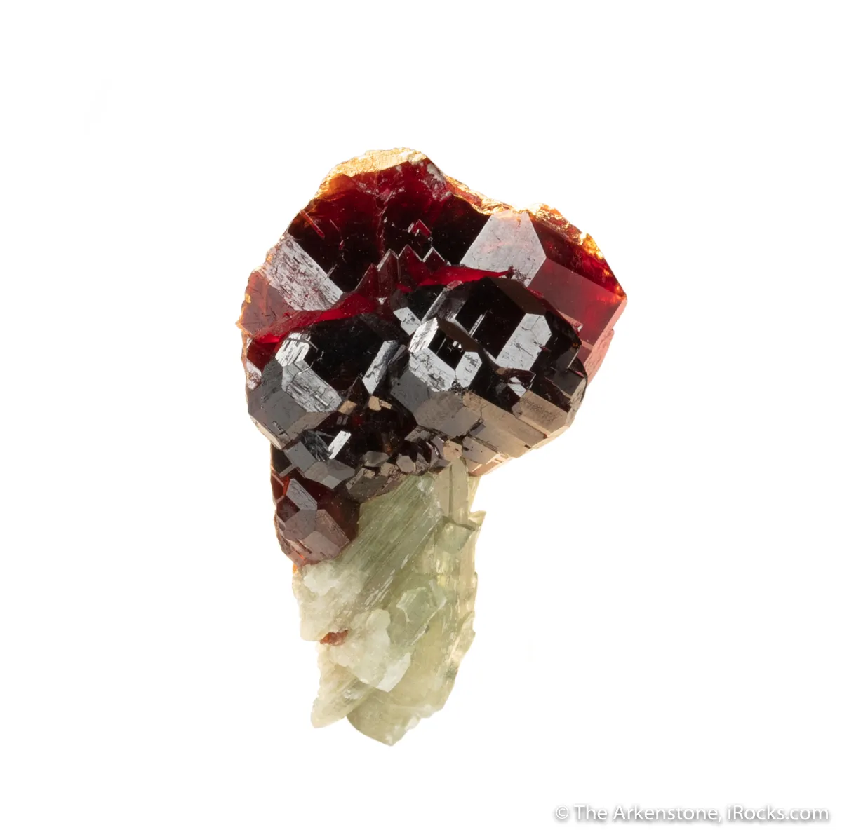 Grossular Garnet on Diopside - image 3