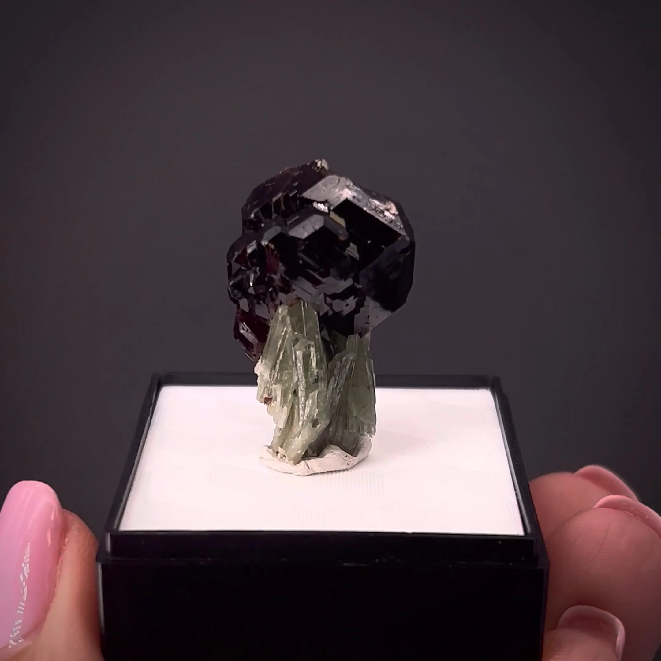 Grossular Garnet on Diopside - image 1