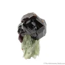 Grossular Garnet on Diopside - image 4