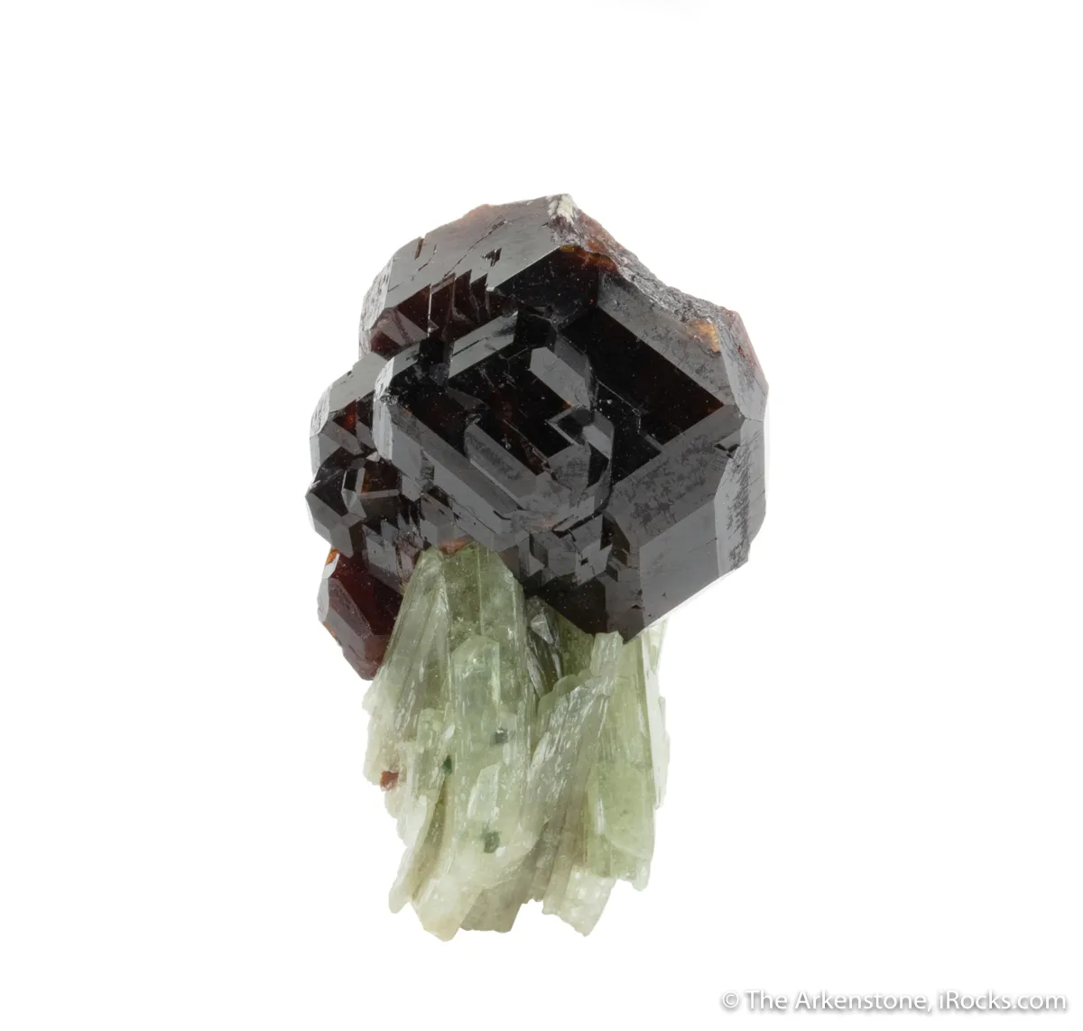 Grossular Garnet on Diopside - image 4