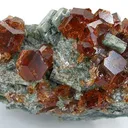 Grossular Garnet on Idocrase - image 1