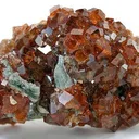 Grossular Garnet on Idocrase - image 1
