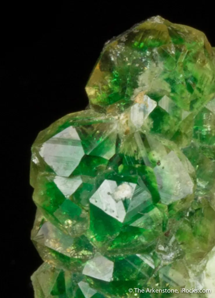 Grossular Garnet var. Chromian image