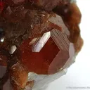Grossular Garnet Var. Hessonite With Diopside - image 2