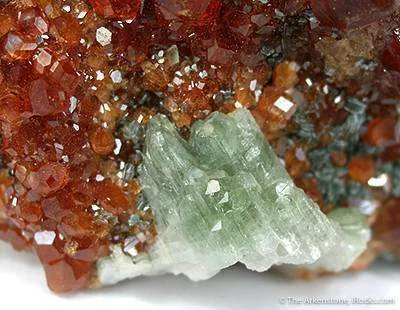 Grossular Garnet Var. Hessonite With Diopside - image 4