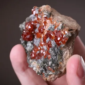 Grossular Garnet with Clinochlore