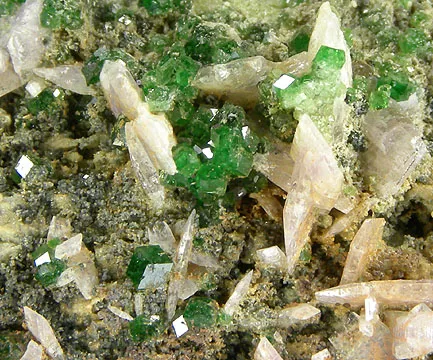 Grossular (Var: Chromian Grossular), Diopside image