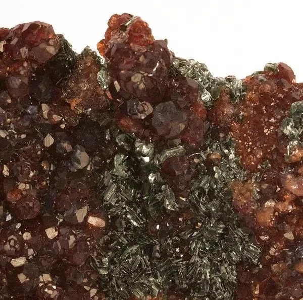 Grossular (Var: Hessonite), Clinochlore - image 2