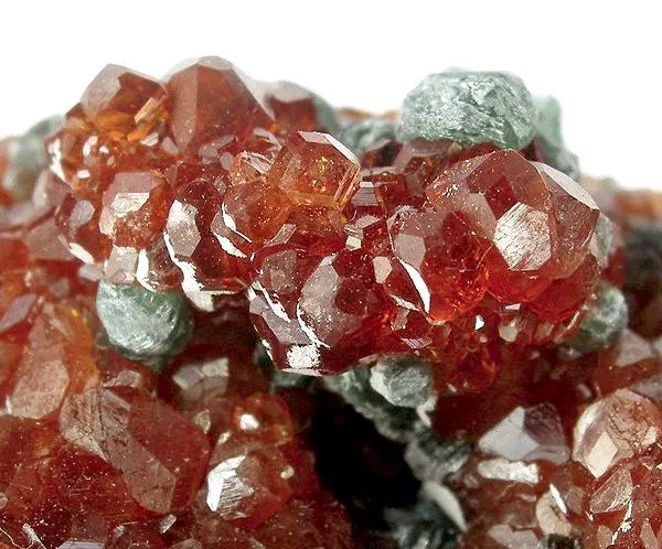 Grossular (Var: Hessonite), Clinochlore - image 2