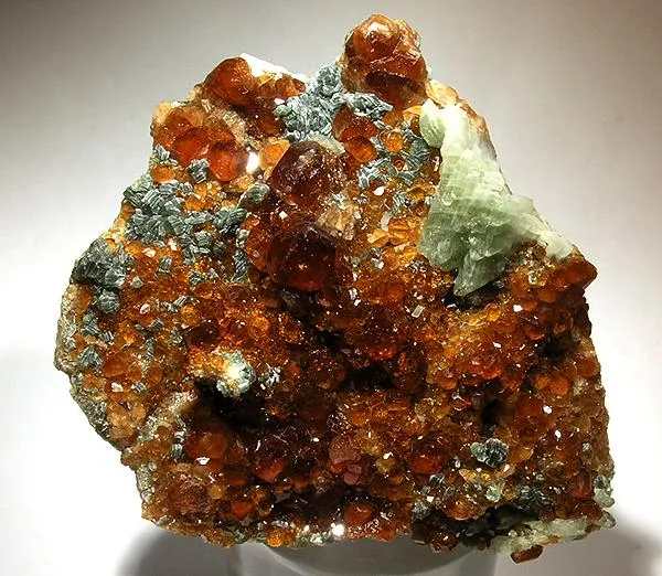Grossular (Var: Hessonite), Clinochlore, Diopside image