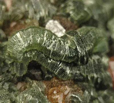 Grossular (Var: Hessonite), Diopside, Clinochlore - image 4