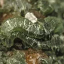 Grossular (Var: Hessonite), Diopside, Clinochlore - image 4