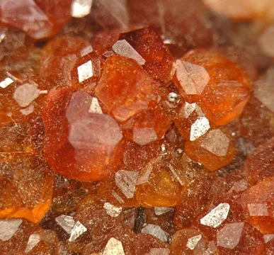 Grossular (Var: Hessonite), Diopside, Clinochlore - image 3
