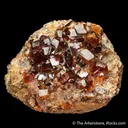 Grossular var. Hessonite Garnet - image 5