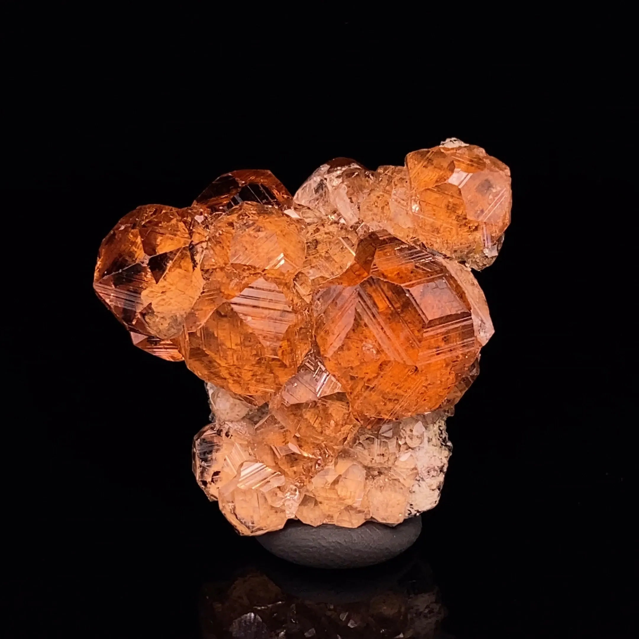 Grossular var. Hessonite on Chlorite - image 2