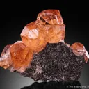 Grossular var. Hessonite on Chlorite - image 4