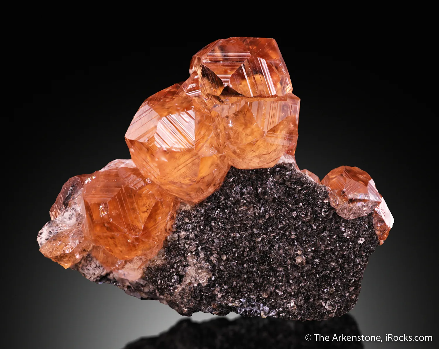 Grossular var. Hessonite on Chlorite - image 4