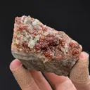 Grossular var. Hessonite with Diopside - image 2