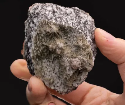 Grossular var. Hessonite with Diopside