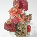Grossular (Var: Rosolite) - image 1
