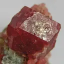 Grossular (Var: Rosolite) - image 2