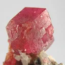 Grossular (Var: Rosolite) - image 2