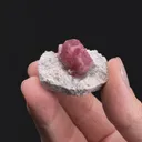 Grossular var. Rosolite - image 2