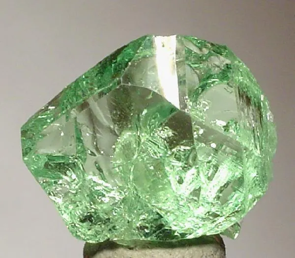 Grossular (Var: Tsavorite), Diopside image