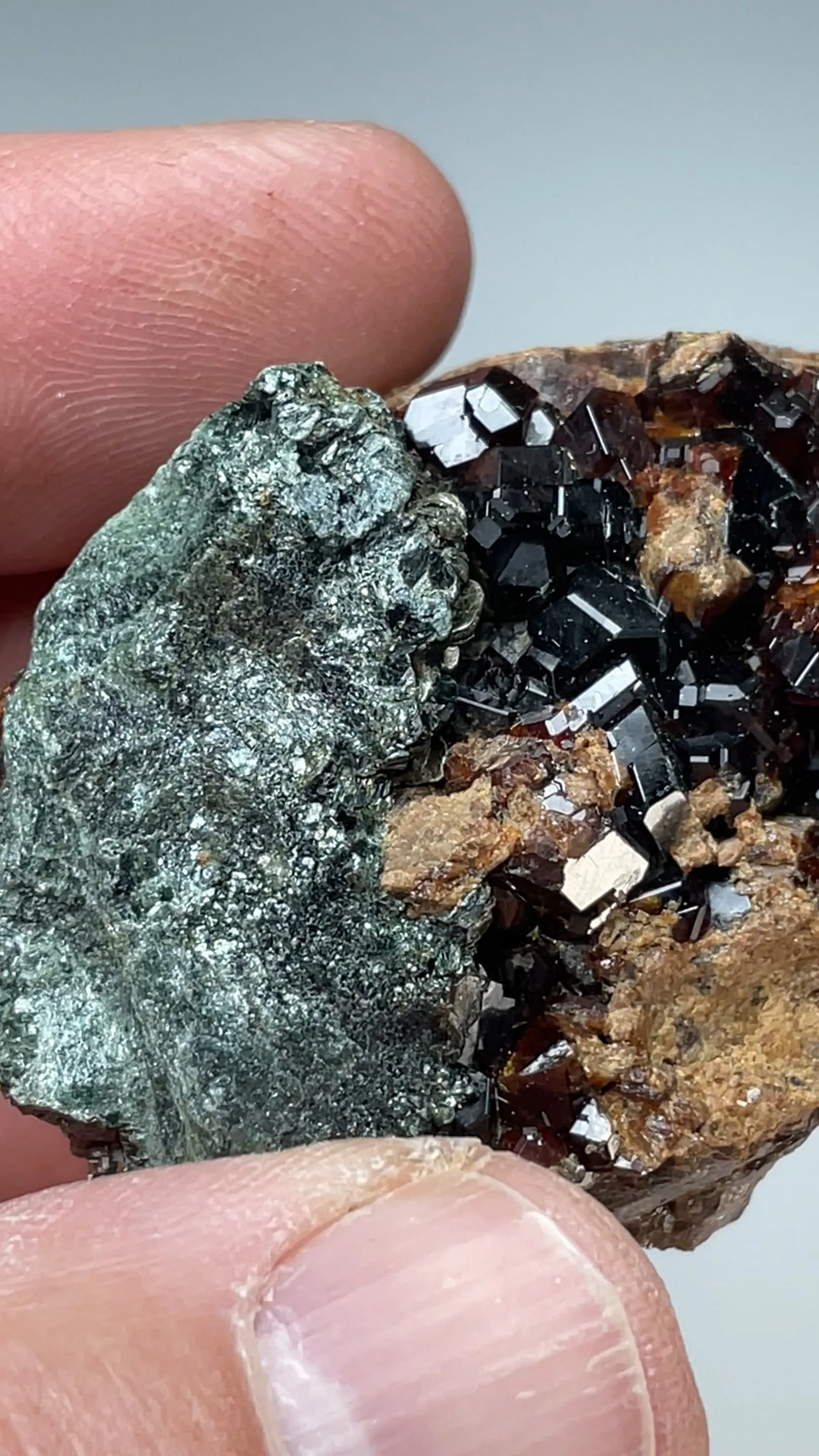 Grossular with Clinochlore - image 2