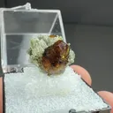 Grossular with Diopside - image 2