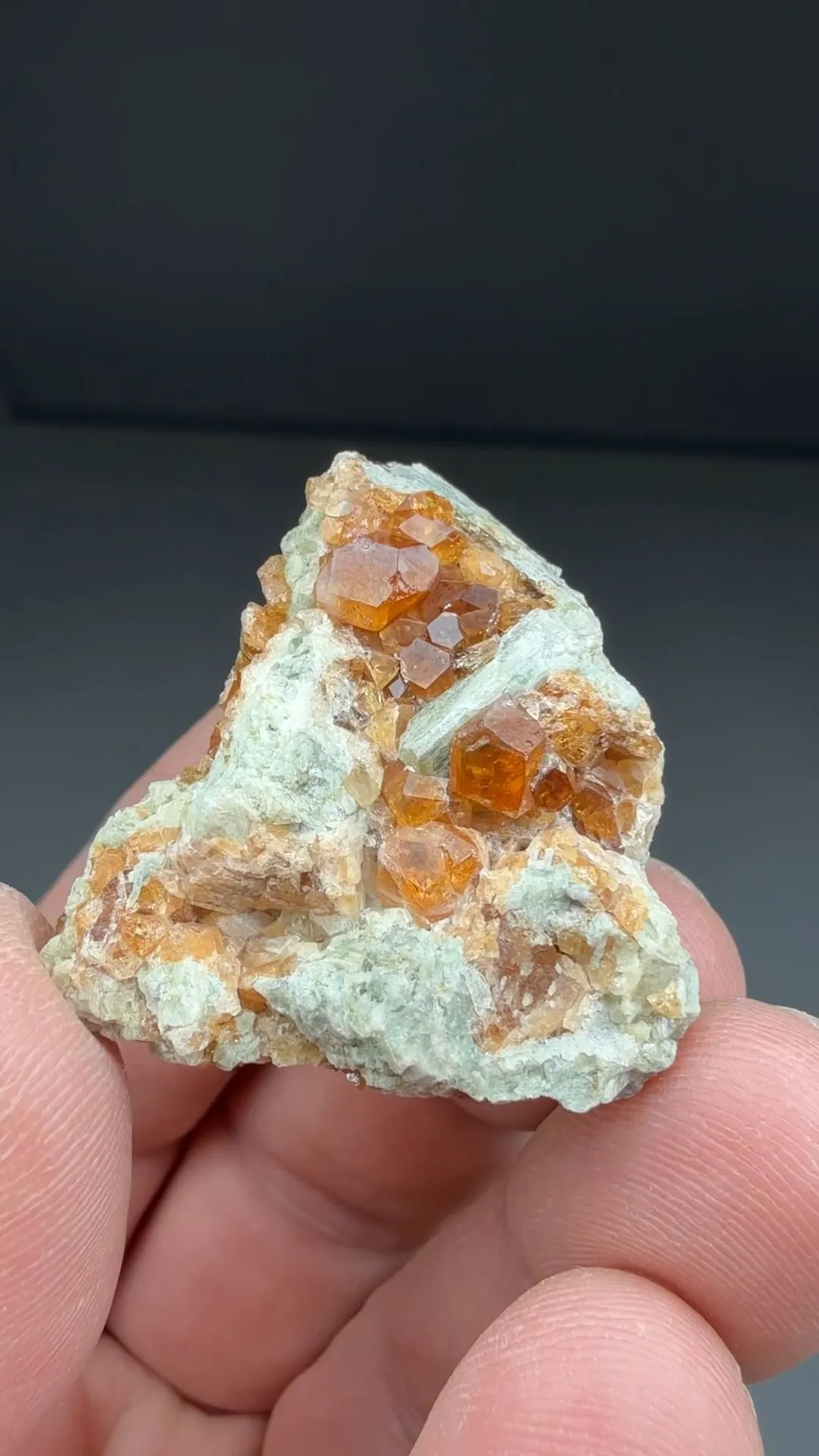 Grossular with Diopside - image 2