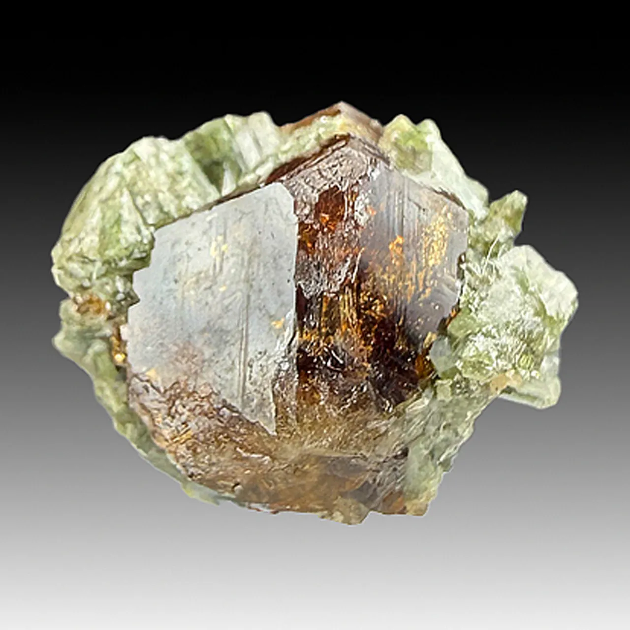 Grossular with Diopside - image 1