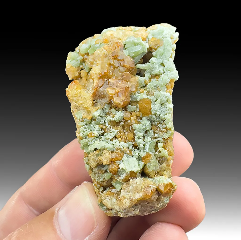 Grossular with Diopside image