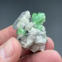 Grossular with Diopside, Calcite - image 2