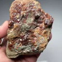 Grossular with Diopside, Clinochlore - image 2