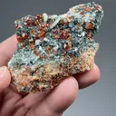 Grossular with Diopside, Clinochlore - image 2